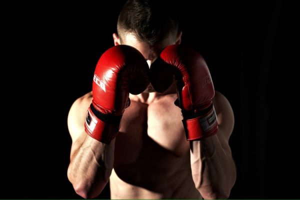 photo of male boxer